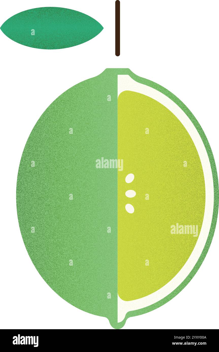 Vector fruit helf green lemon cartoon vector illustration isolated object Stock Vector