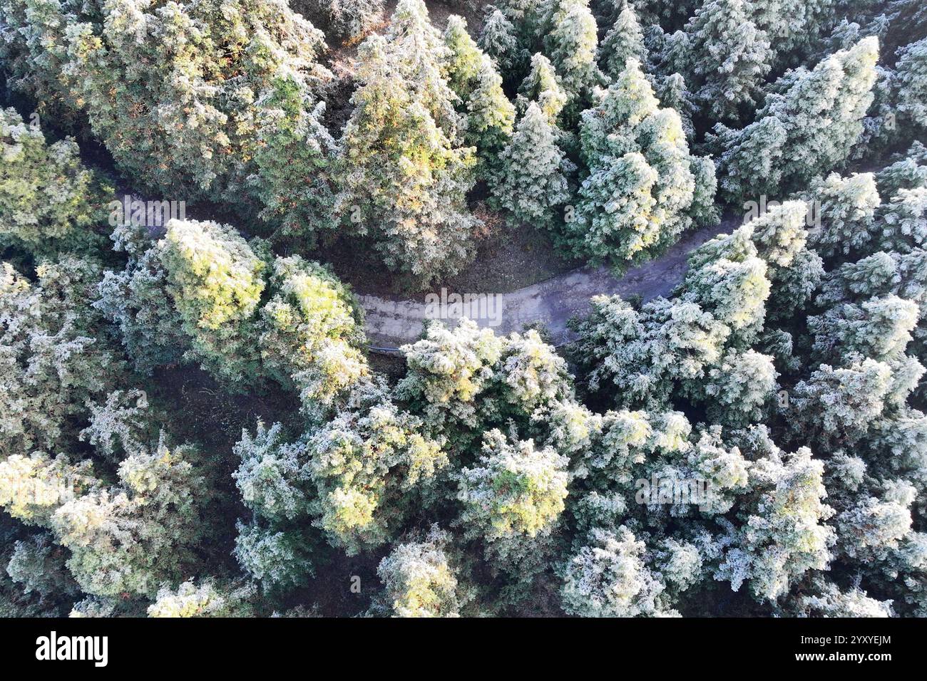 Aerial photo shows the snow scenery in Chongqing, China, 15 December