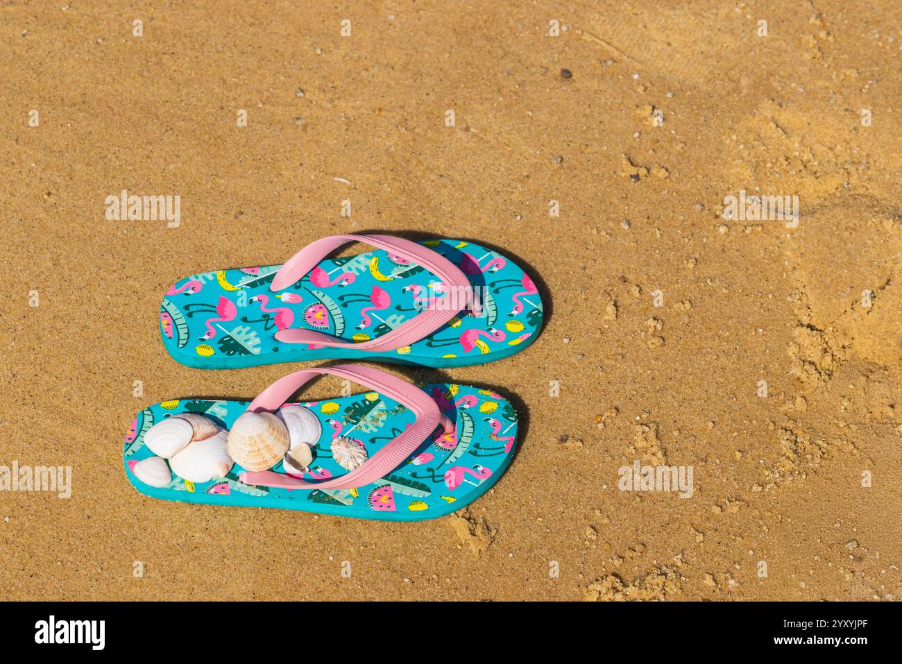 flip flops with seashells on the beach Stock Photo - Alamy