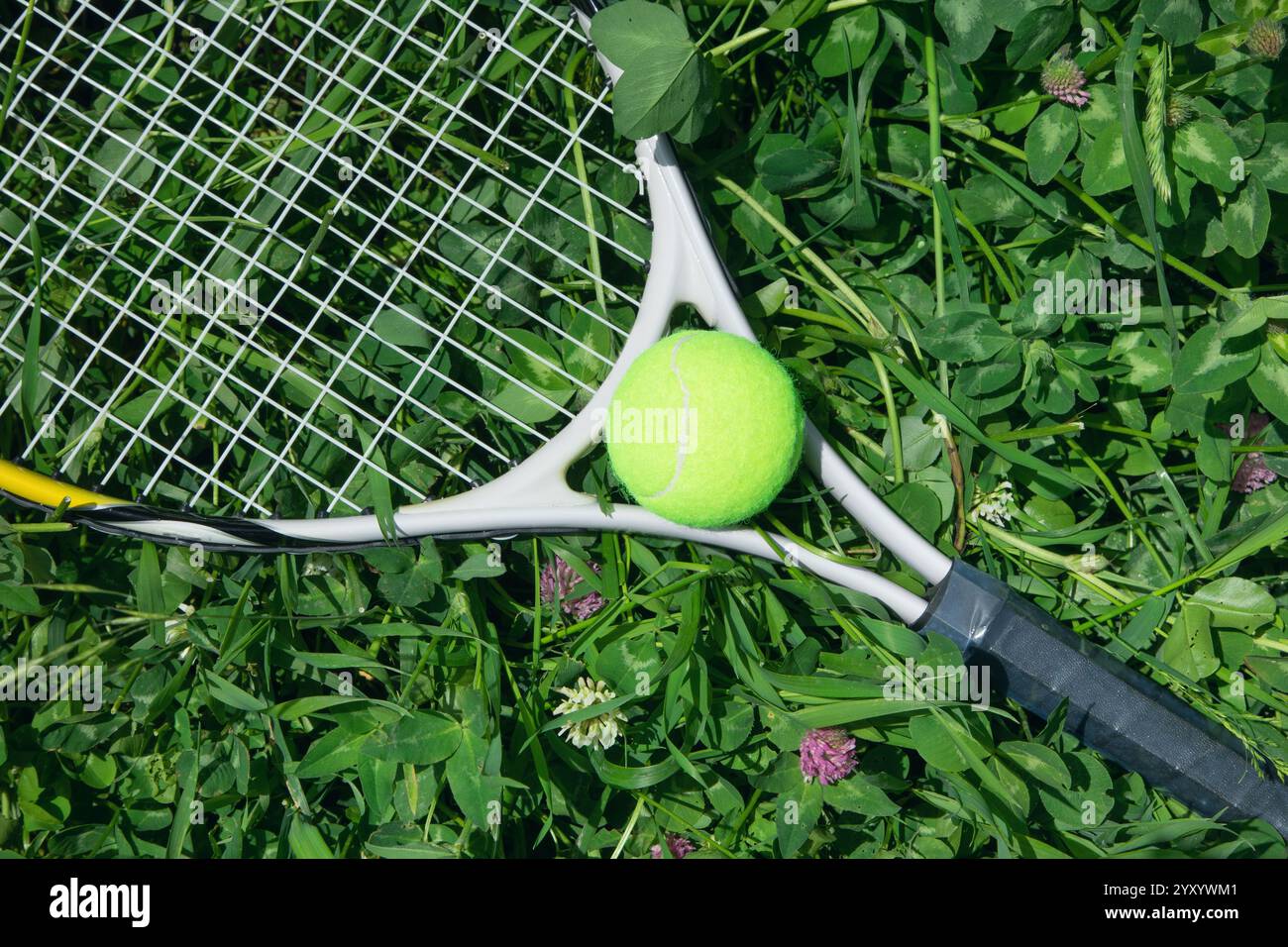 Tennis ball and racket on the green grass background Stock Photo - Alamy