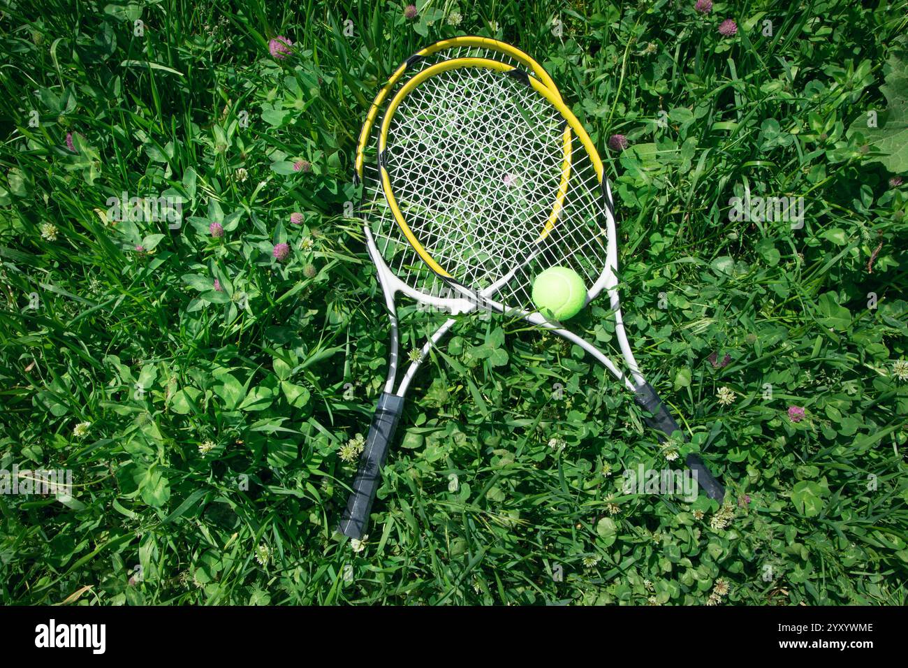 Tennis ball and racket on the green grass background Stock Photo - Alamy