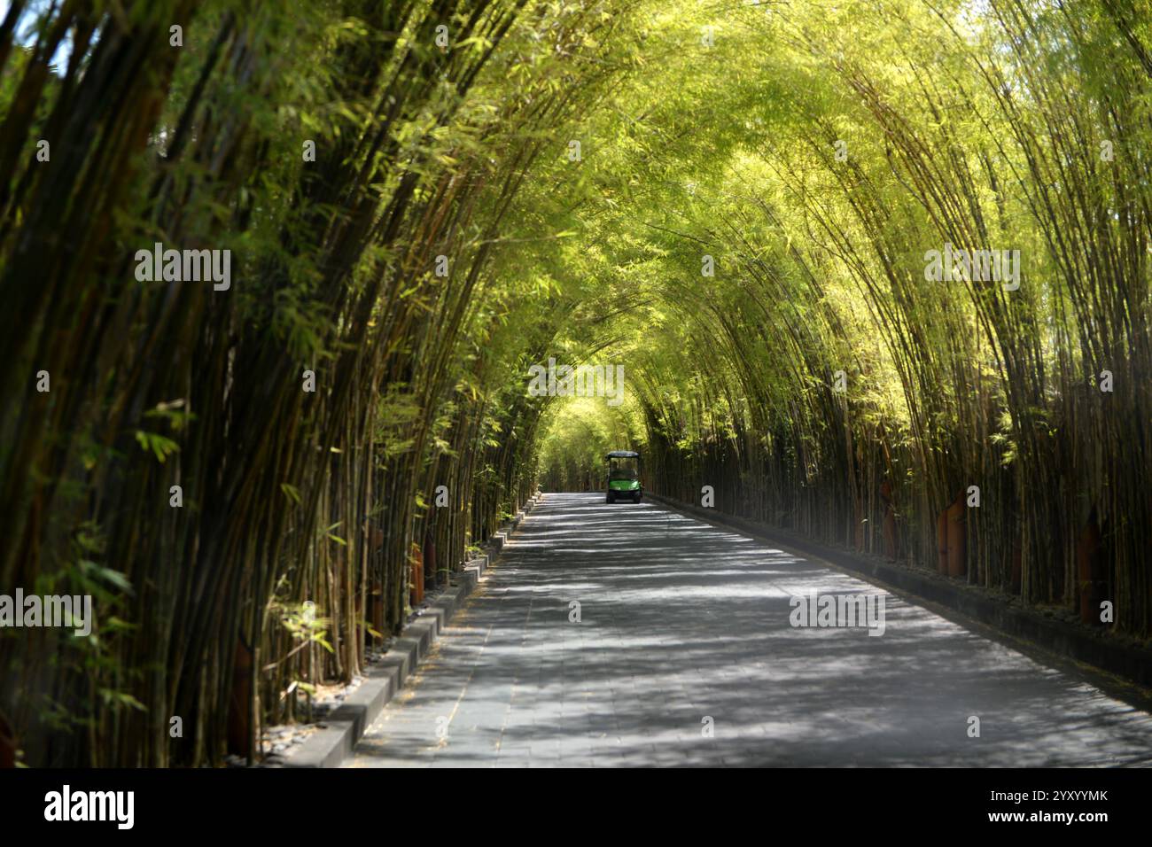 The bamboo tunnel at the entrance of W Bali Hotel Stock Photo - Alamy