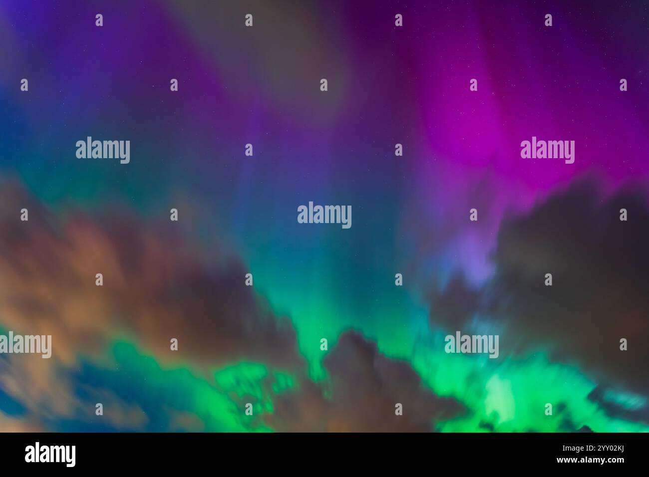 Magic of the North: Aurora borealis paints the night sky with vibrant ...