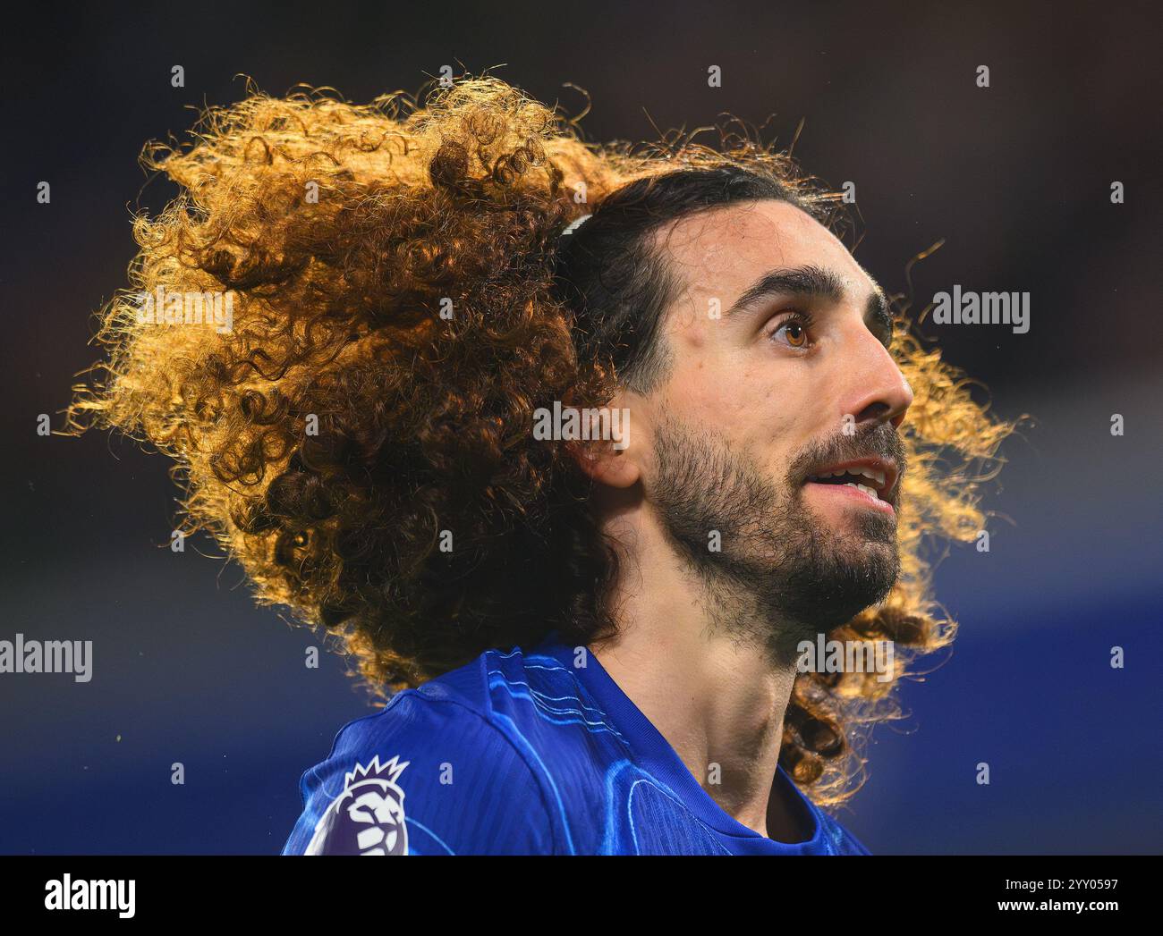 Marc Cucurella Chelsea On Hi res Stock Photography And Images Alamy marc-cucurella-chelsea-on-hi-res-stock-photography-and-images-alamy