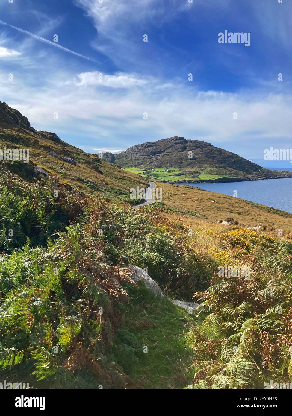 The Irish coast between Allihies and Eyeries, West County Cork -John Gollop - Smartphone Captured Stock Image