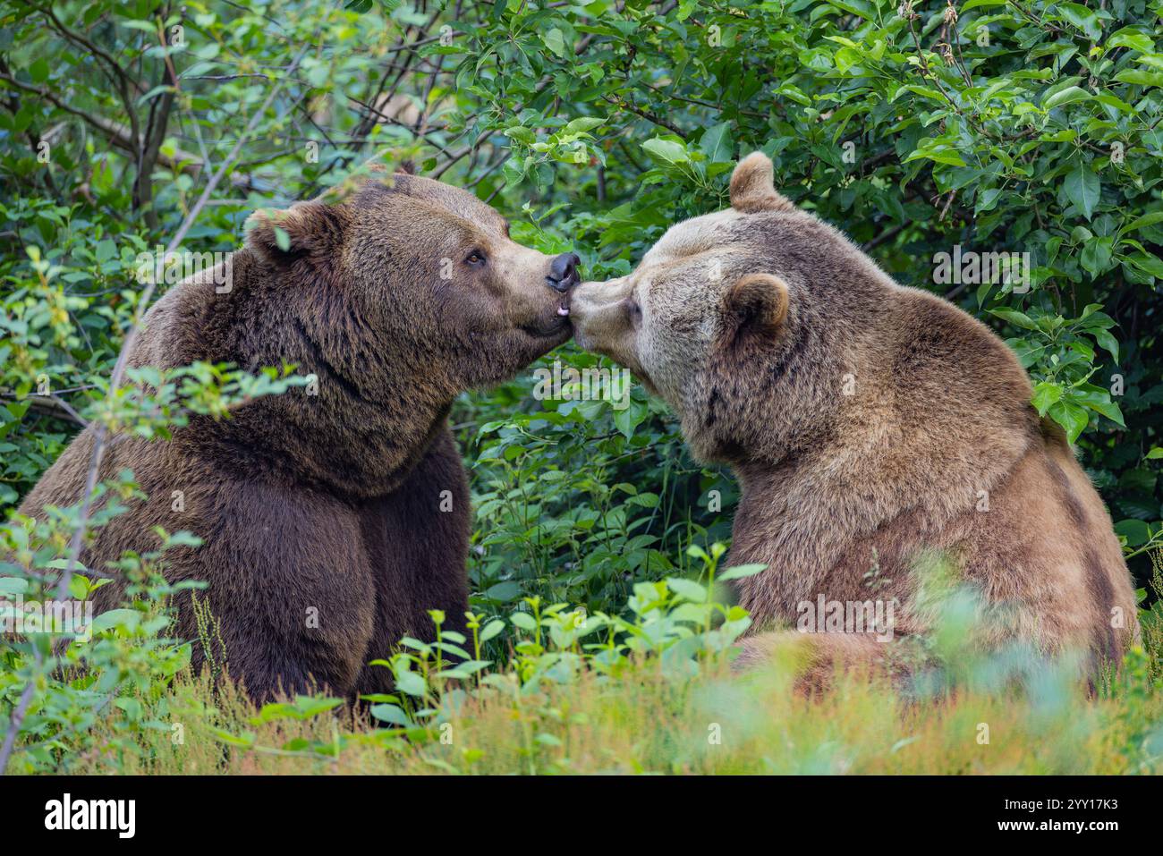 Inspirationfurdesigner hi-res stock photography and images - Alamy