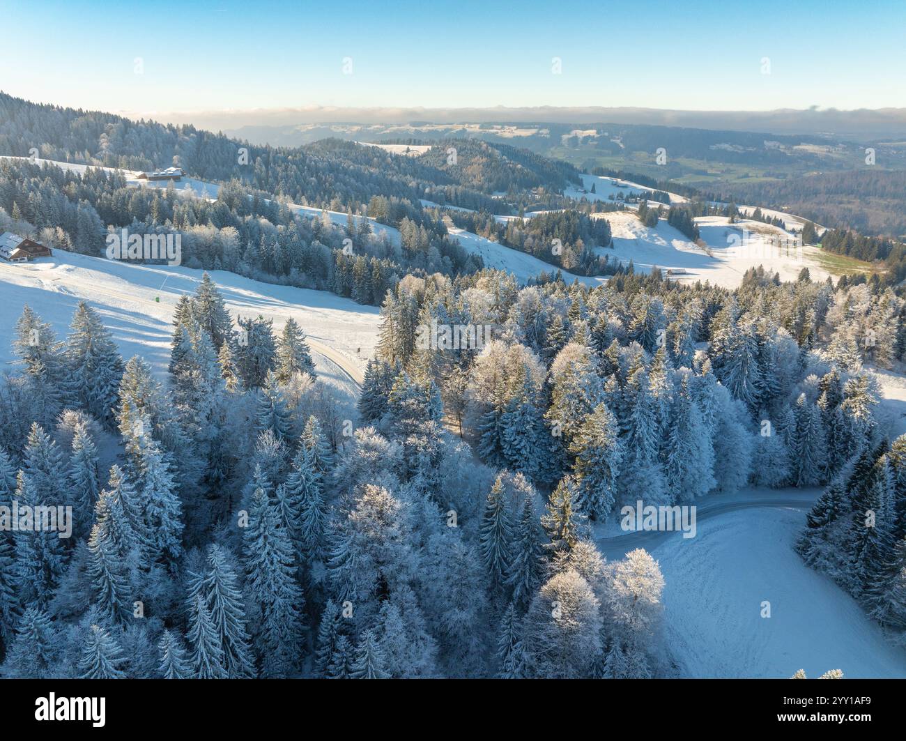 Aerial view snowy pine trees hi-res stock photography and images - Alamy