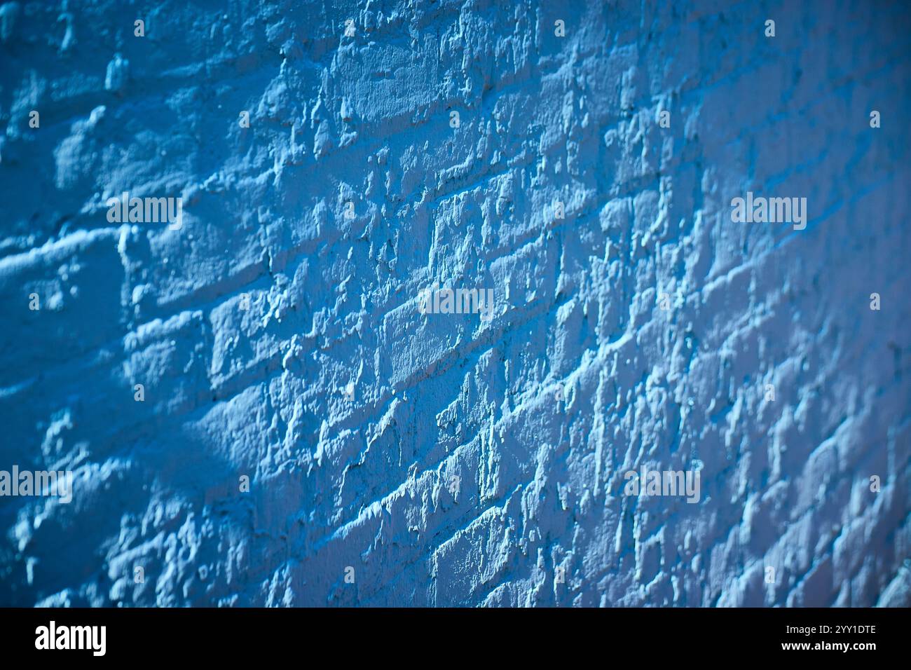 Gallery image with a fresh perspective
