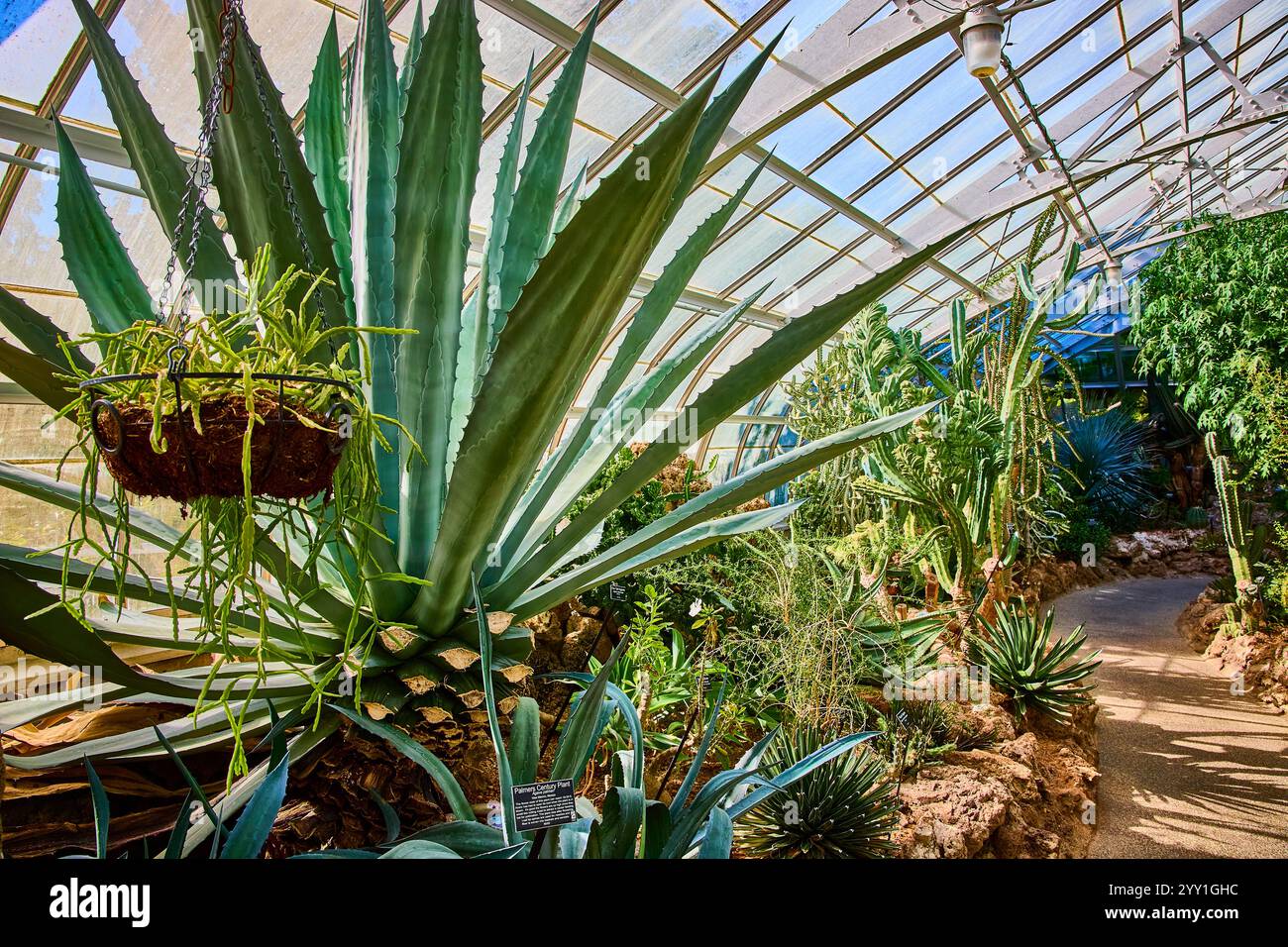 Green lush oasis hi-res stock photography and images - Alamy