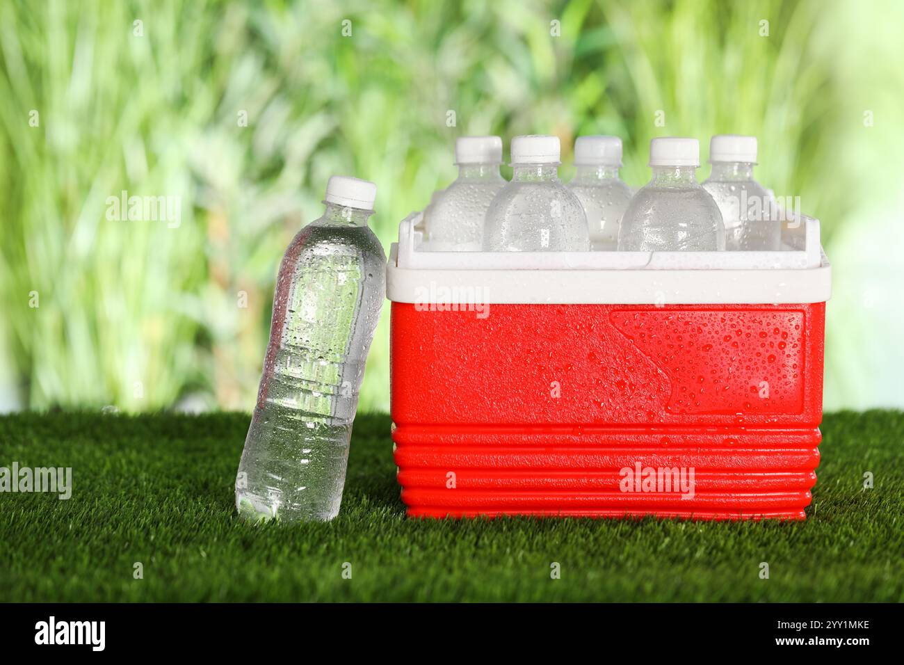 Many bottles of water in cooler box on artificial grass Stock Photo - Alamy