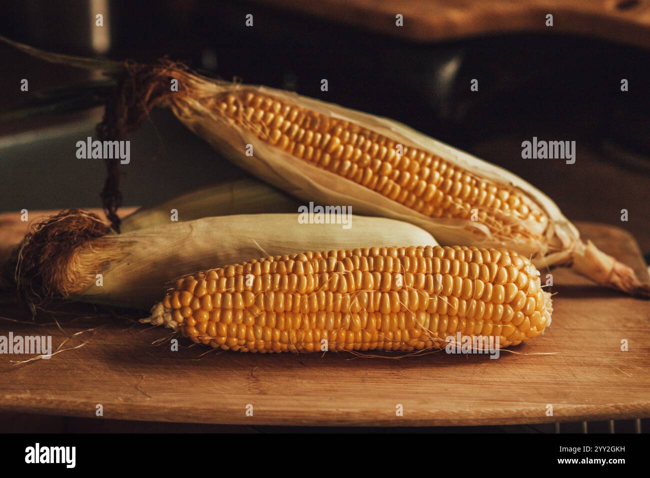 Raw corn on cutting board Stock Photo