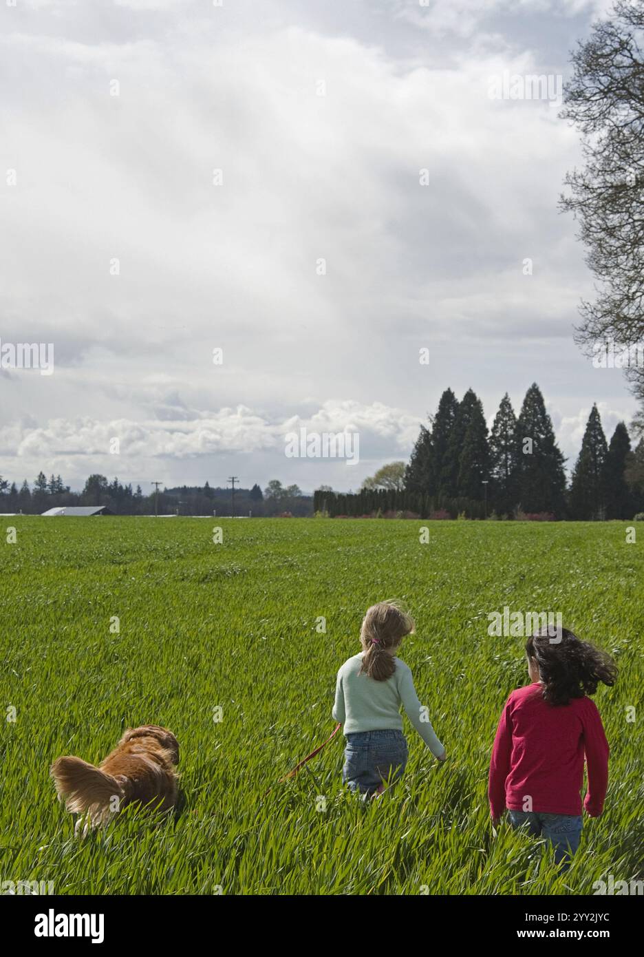 In Their Field Two girls walking in a field with their dog Stock Photo - Alamy