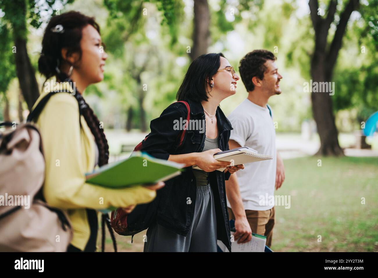 Multicultural students collaborating on school tasks outdoors in the park Stock Photo