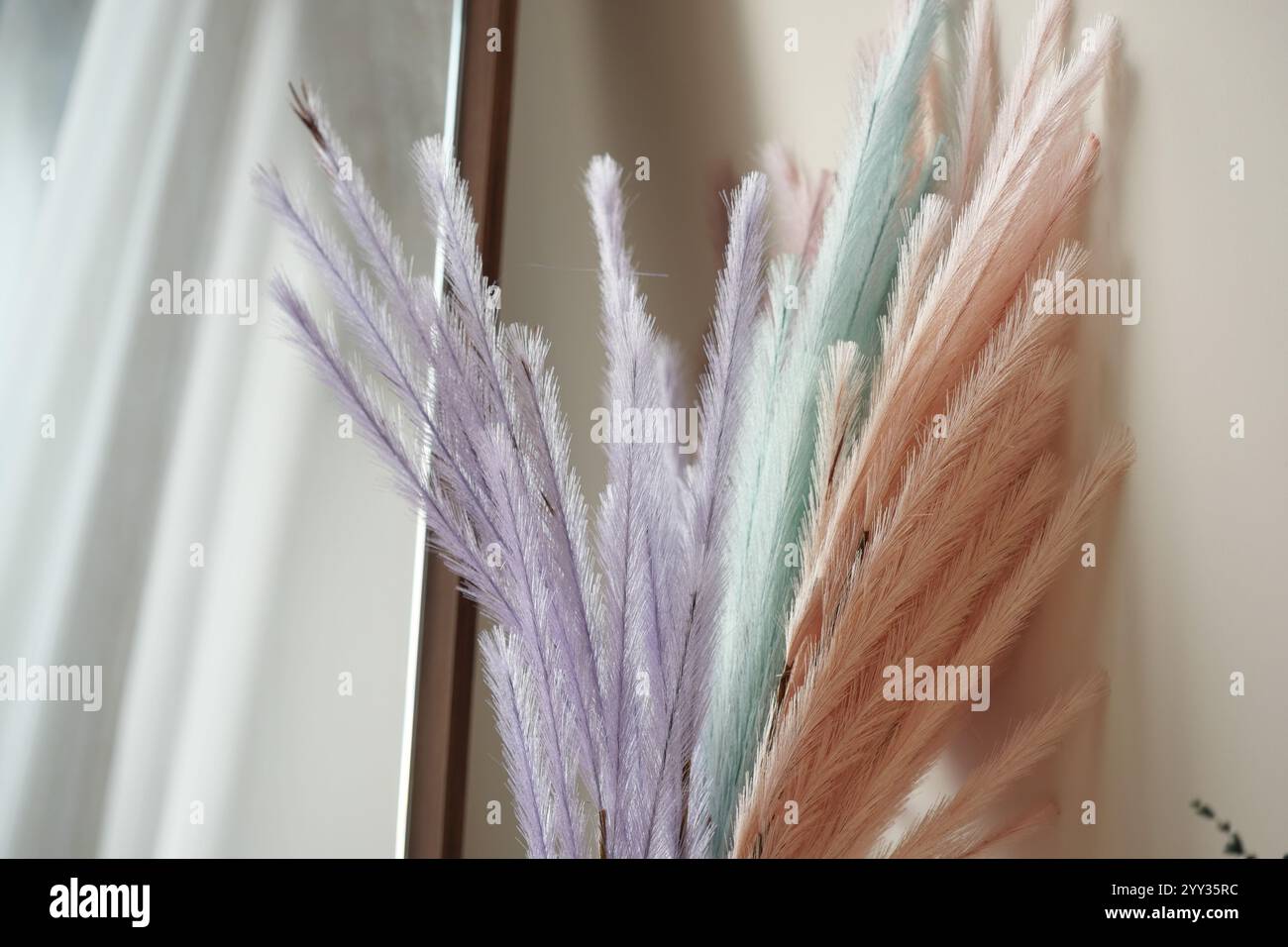 Beautiful Pastel Pampas Grass Arrangement Perfect for Enhancing Home Decor Stock Photo