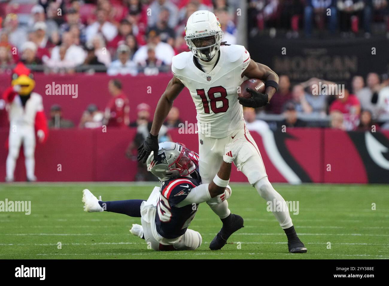 Artistic Arizona Cardinals Wide Receiver Marvin Harrison Jr. Rings In An 18-yard Pass From Quarterback Jacoby Brissett Image Nature Artistic Arizona Cardinals Wide Receiver Marvin Harrison Jr. Rings In An 18-yard Pass From Quarterback Jacoby Brissett Image Nature