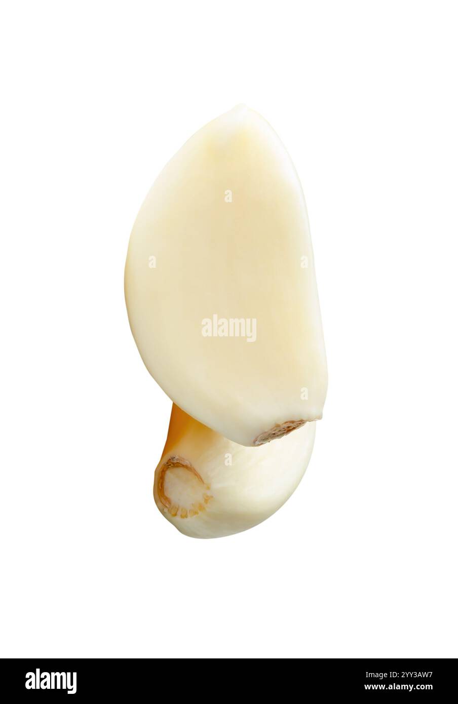 Top view of peeled garlic cloves in stack is isolated on white ...