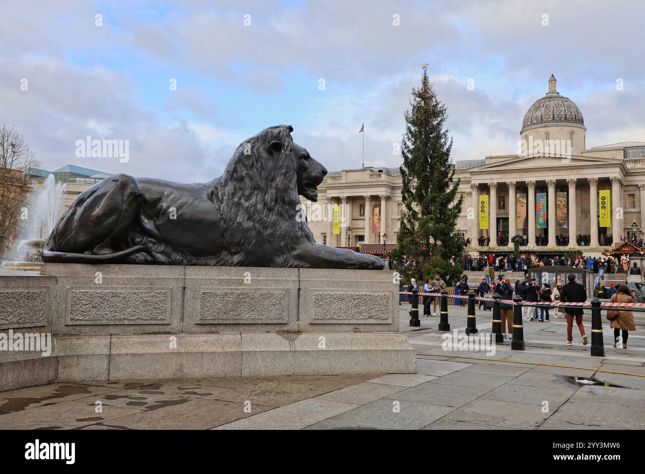 trafalgar square lions dressed for christmas Disappointed visitors say Trafalgar Square Christmas tree looks 'exactly  how 2020 felt'