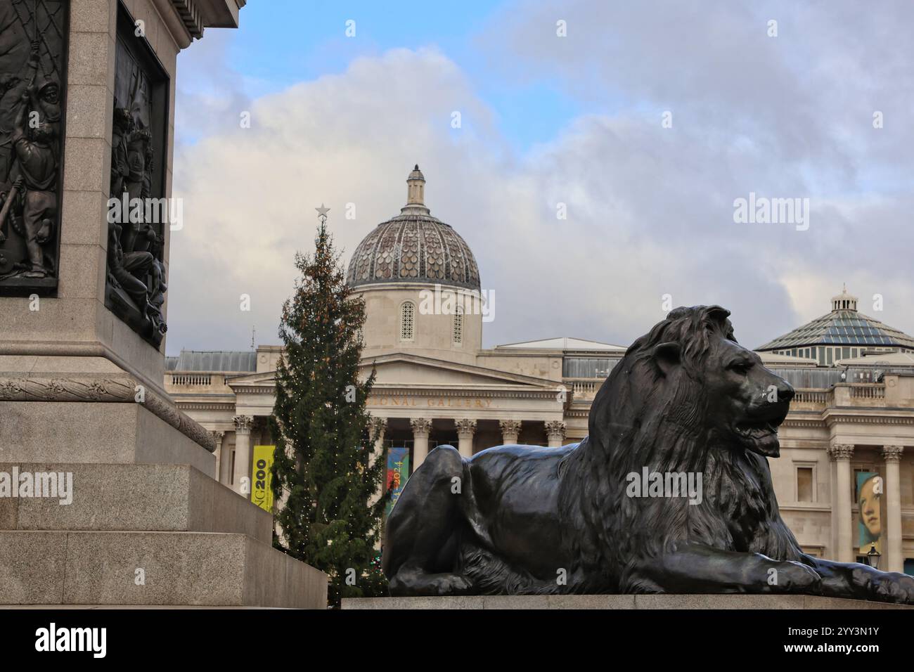trafalgar square lions dressed for christmas Disappointed visitors say Trafalgar Square Christmas tree looks 'exactly  how 2020 felt'