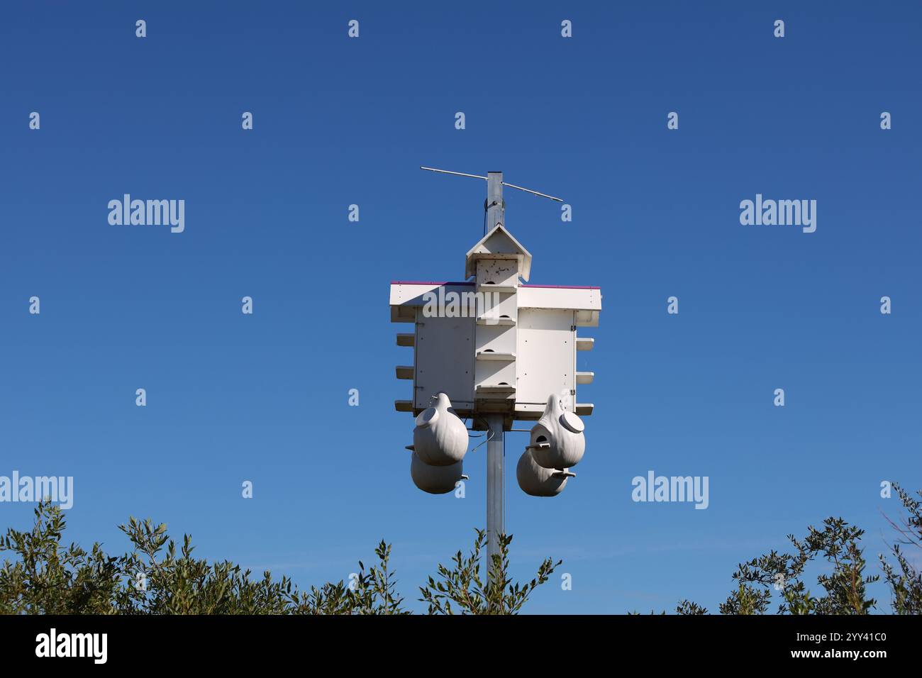 large complex bird house against cloudless deep blue sky Stock Photo