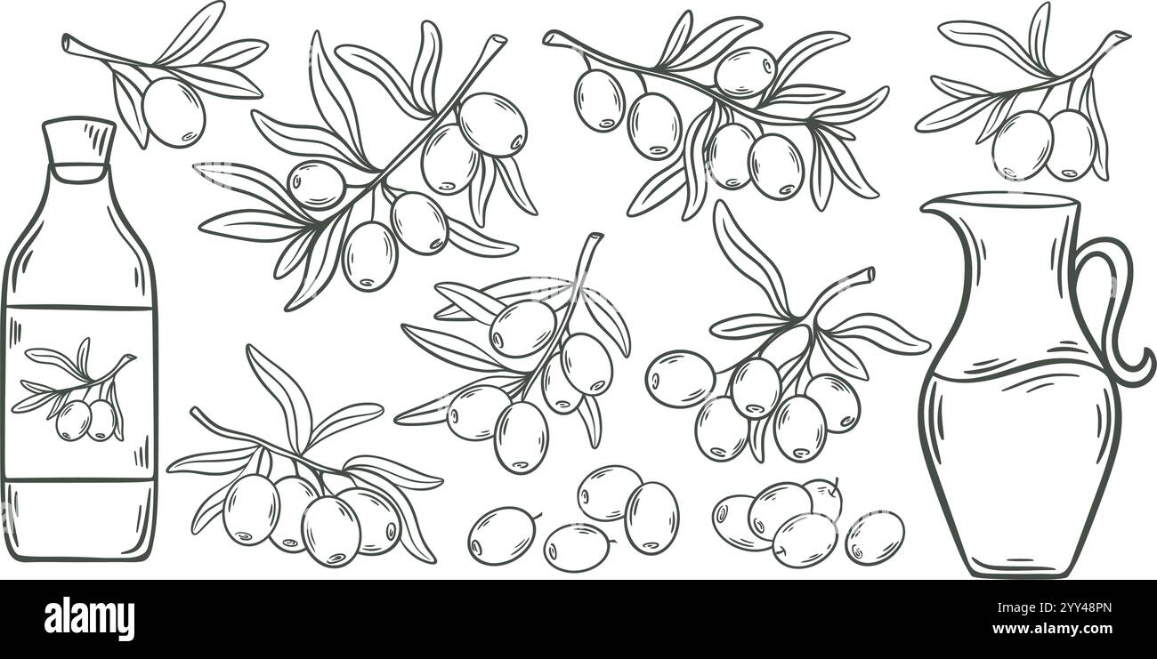 Ink hand engraving olives branches and oil set Stock Vector Image & Art ...
