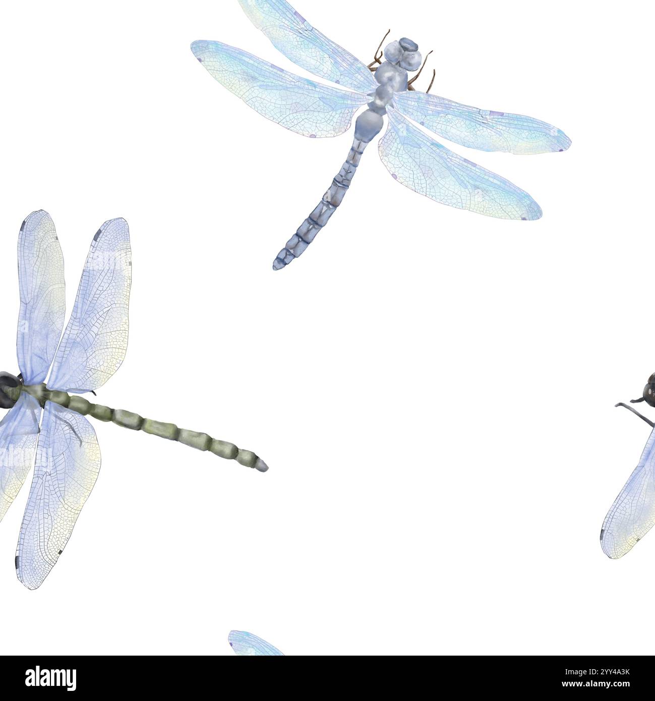 Dragonflies with transparent blue wings in a seamless pattern ...