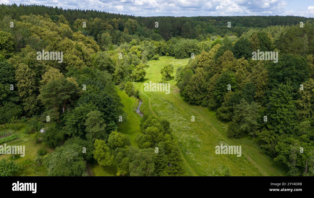 Aerial view of a lush green forest with a winding path and a small ...