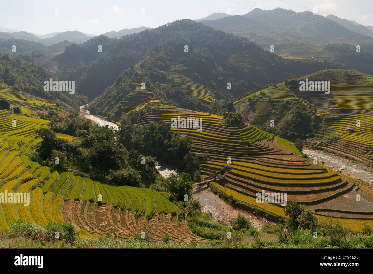 Aerial view of lush, terraced rice fields in Bali, Indonesia, with ...