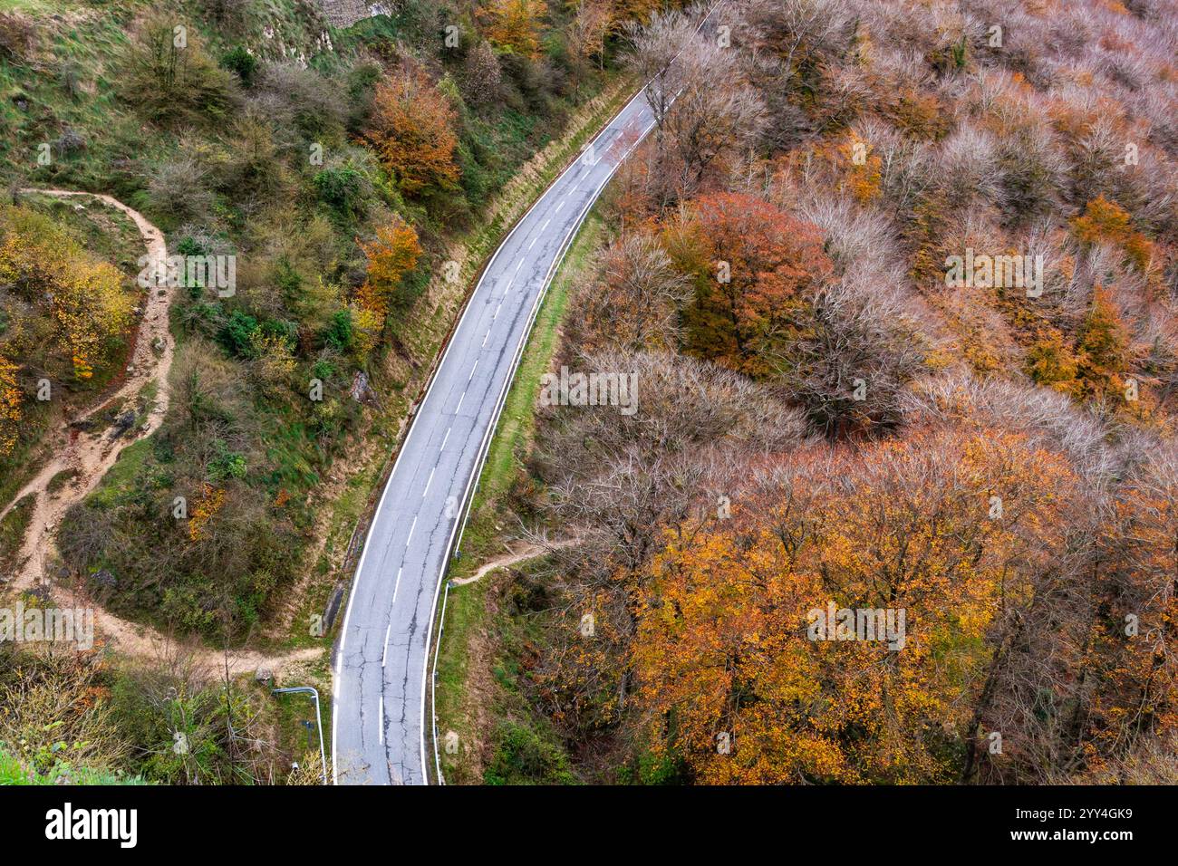 Aerial view of a winding road cutting through a vibrant autumn forest ...
