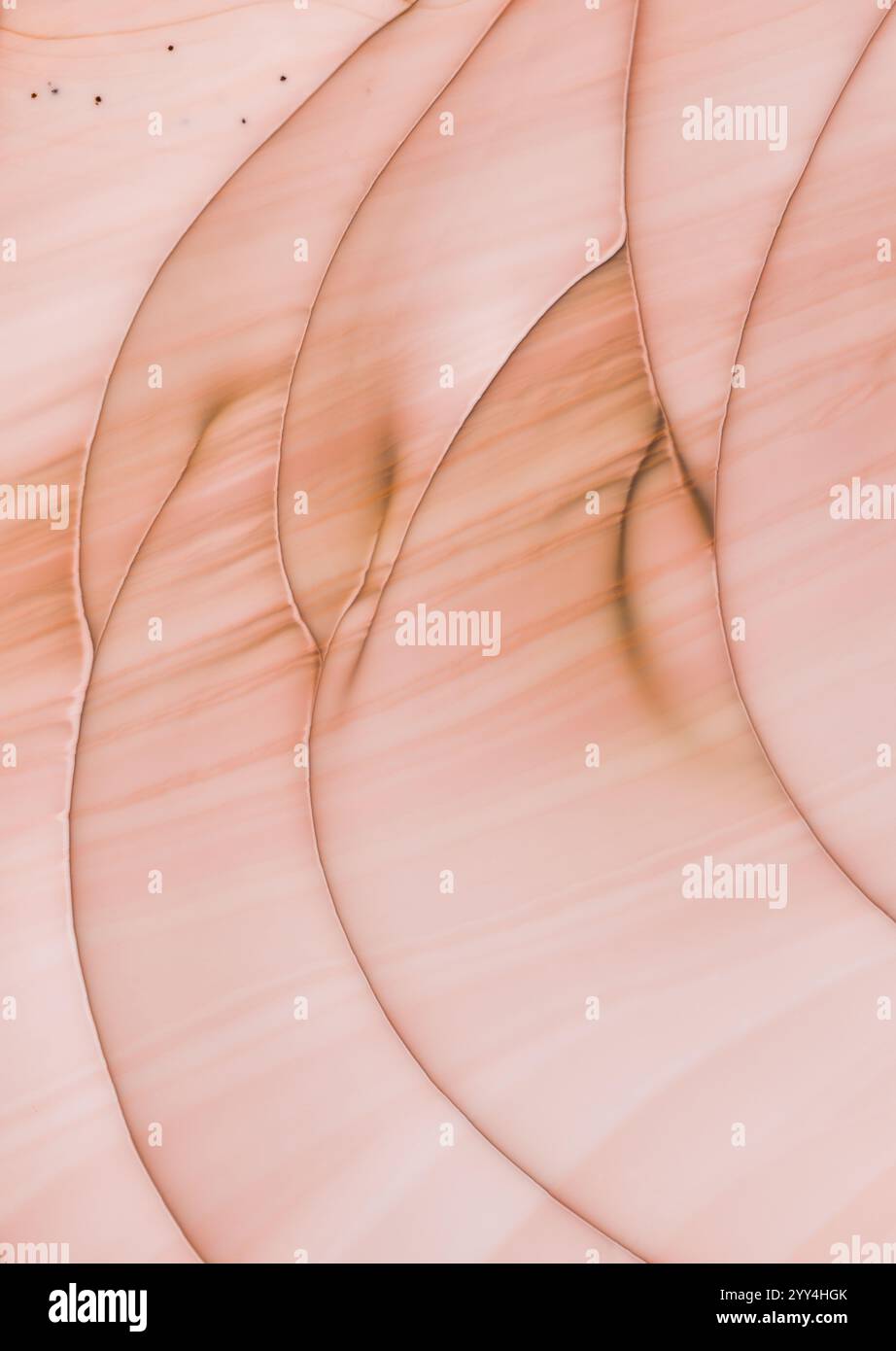 Highly intricate patterns hi-res stock photography and images - Alamy