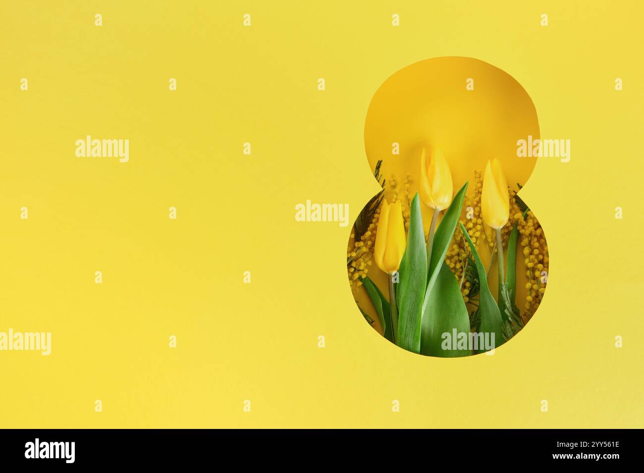 8 March greeting card. Paper cut Eight made of yellow background and fresh spring flowers bouquet of yellow mimosa and tulips. Greeting card for Inter Stock Photo