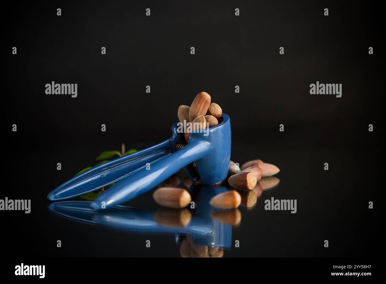 hazelnuts with nutcracker isolated on black background. Stock Photo