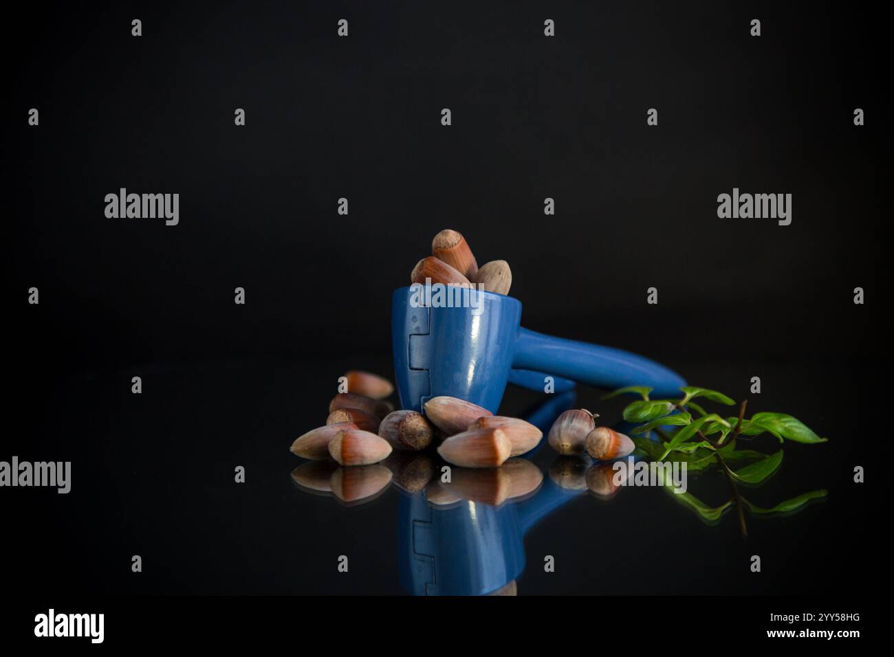 hazelnuts with nutcracker isolated on black background. Stock Photo