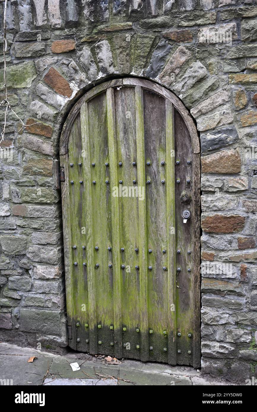Arched old wooden door with green algae staining, vertical battens in rough stone archway in stone wall Stock Photo