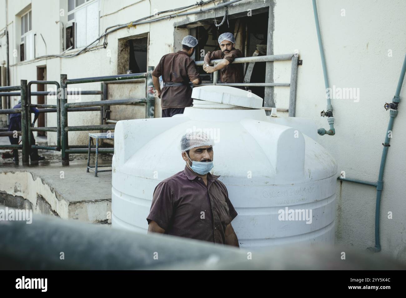 Butcher at the camel slaughterhouse in Salalah, Dhofar, Oman, Asia Stock Photo