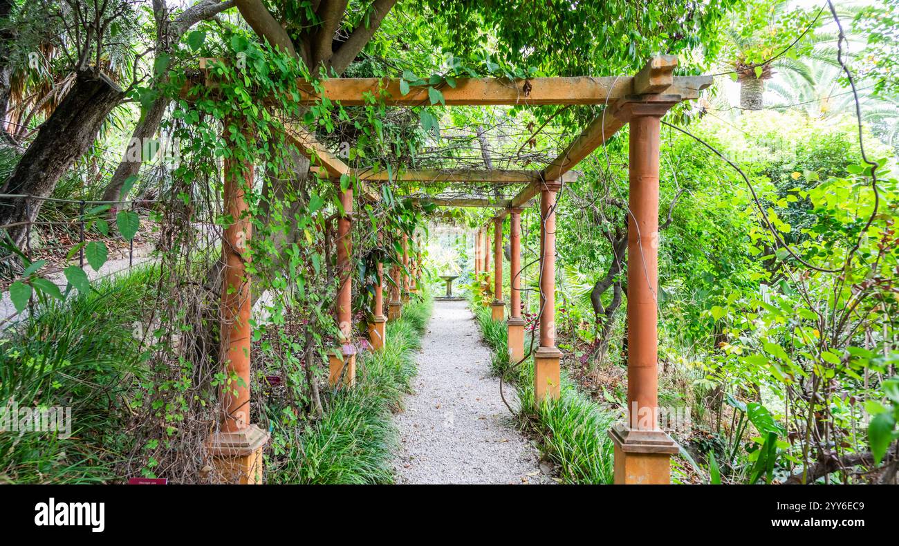 Romantic Garden Walkway Forming A Green Tunnel Springtime Stock Photo 