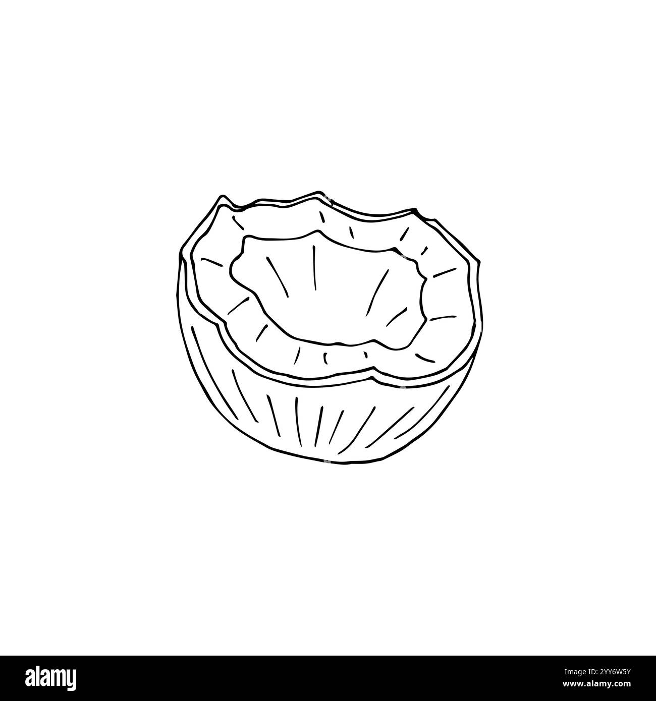 Vector hand drawn doodle sketch half cut coconut isolated on white ...