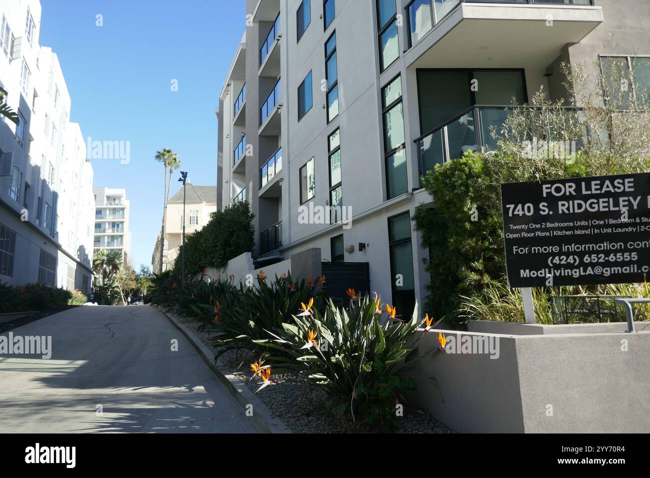 Los Angeles, California, USA 18th December 2024 Actor Wheeler Oakman ...