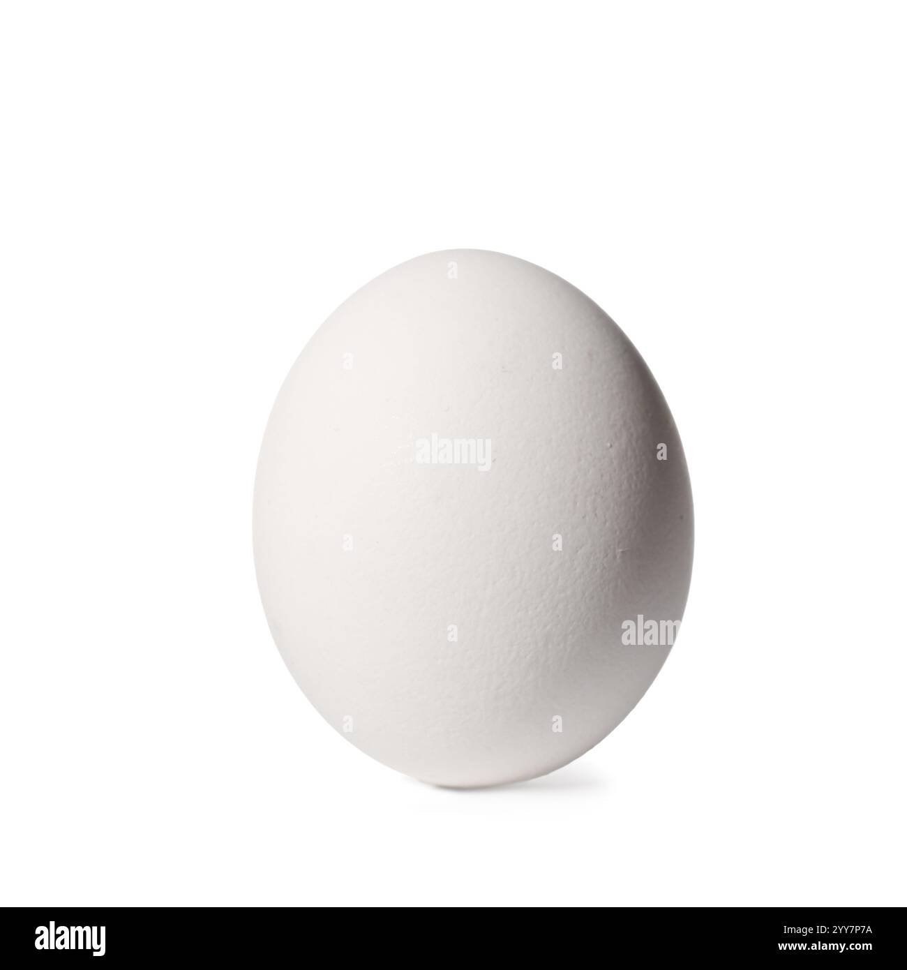 Fresh chicken egg isolated on white background Stock Photo - Alamy