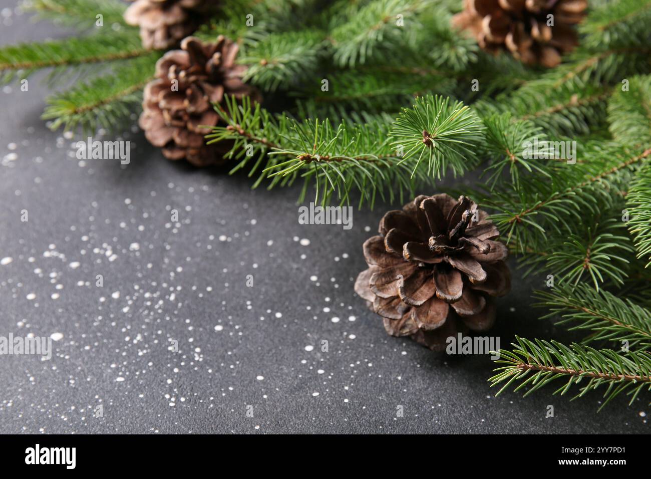 Pine cones and fir branches on black background Stock Photo - Alamy