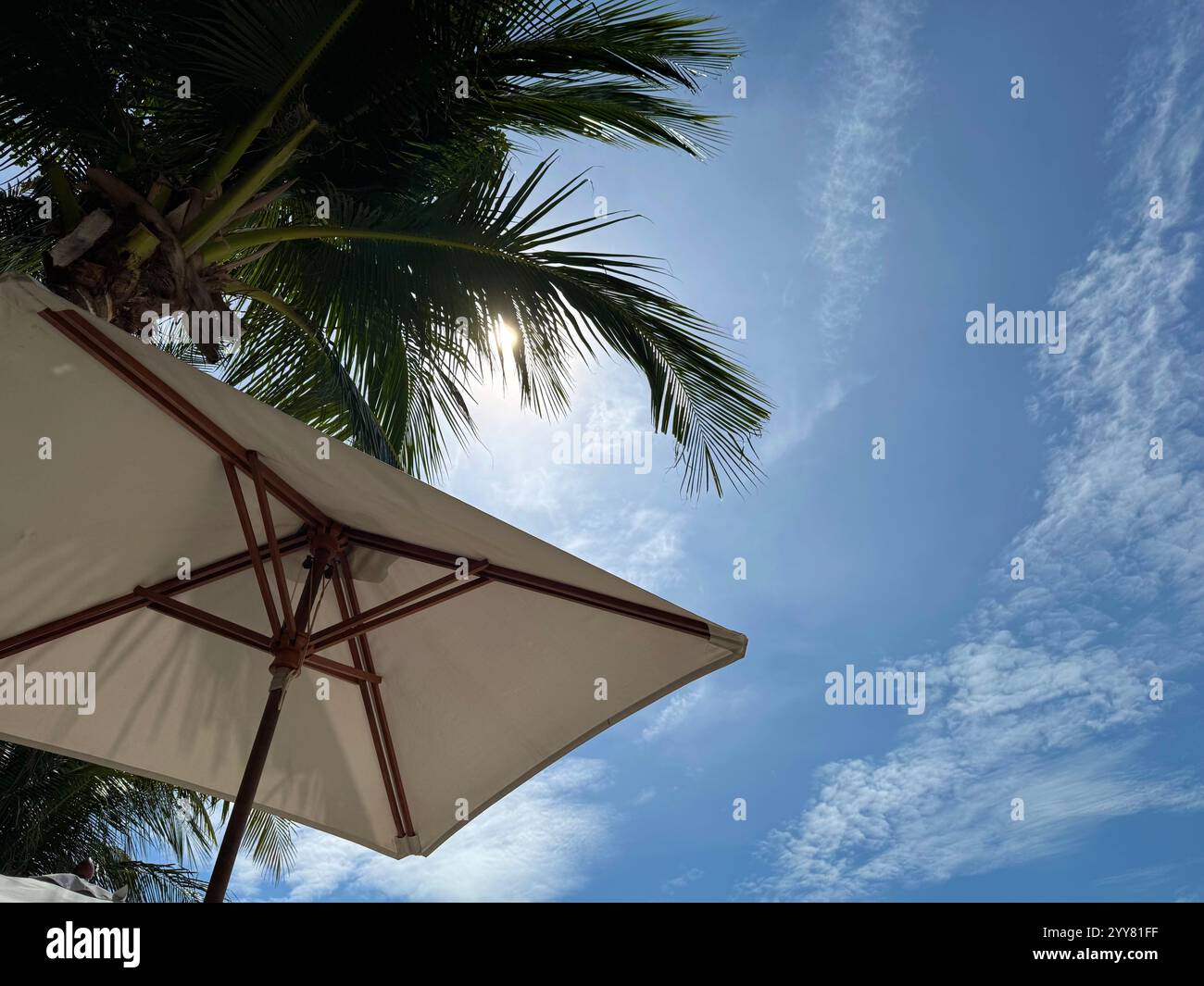 Low angle view of a luxurious beach umbrella under palm trees in the sunlight - Smartphone Captured Stock Image
