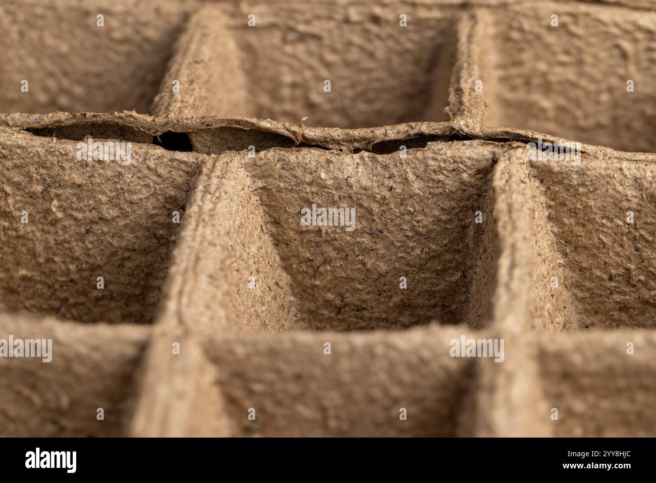 cardboard cups for seedlings. made from recycled paper with the ...