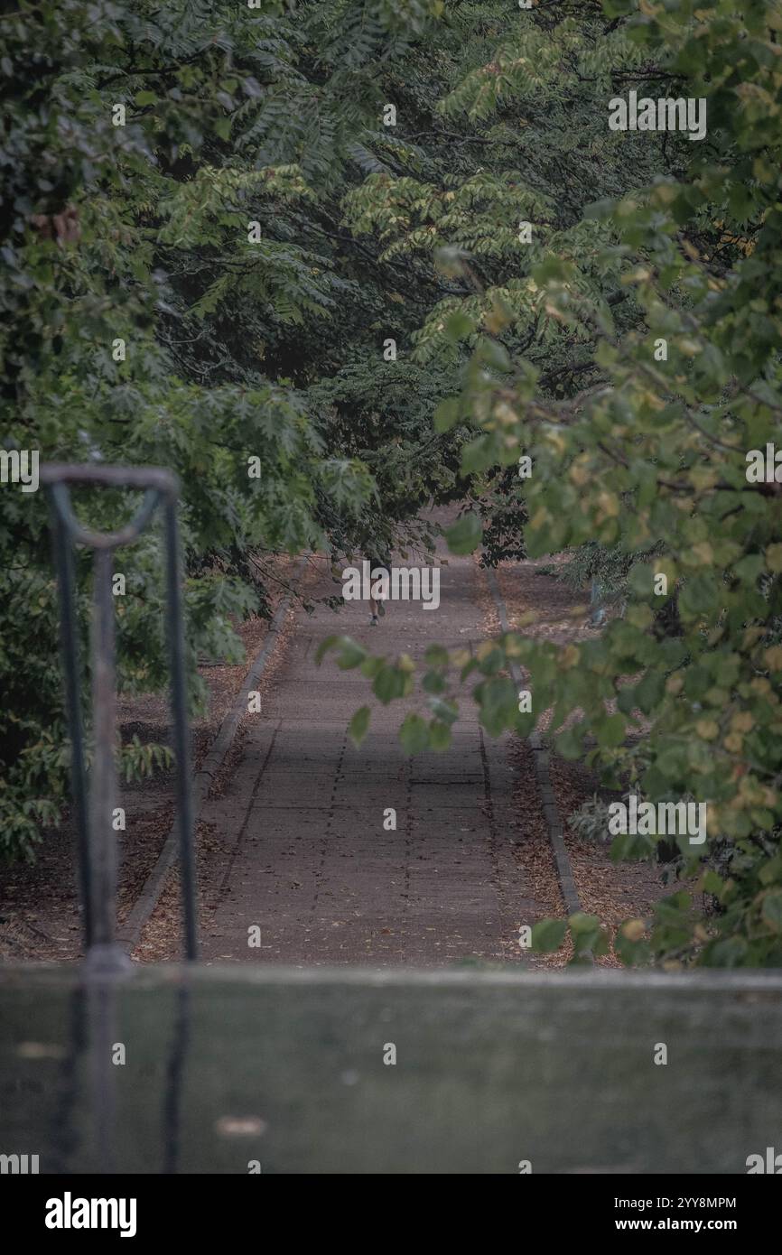 Serene moment captured in a leafy park as a jogger disappears into the ...