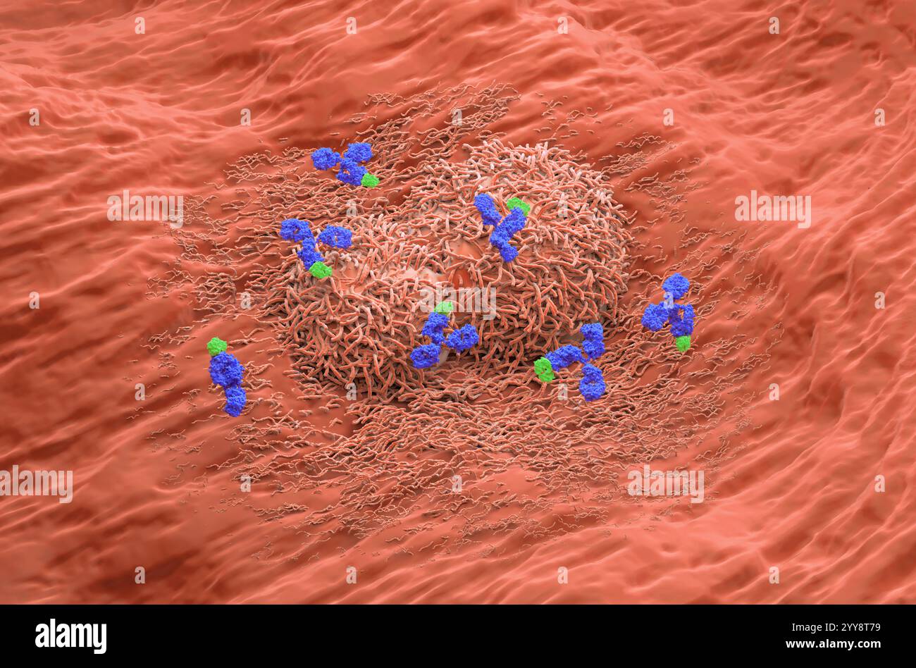 Monoclonal antibody cancer cell hi-res stock photography and images - Alamy