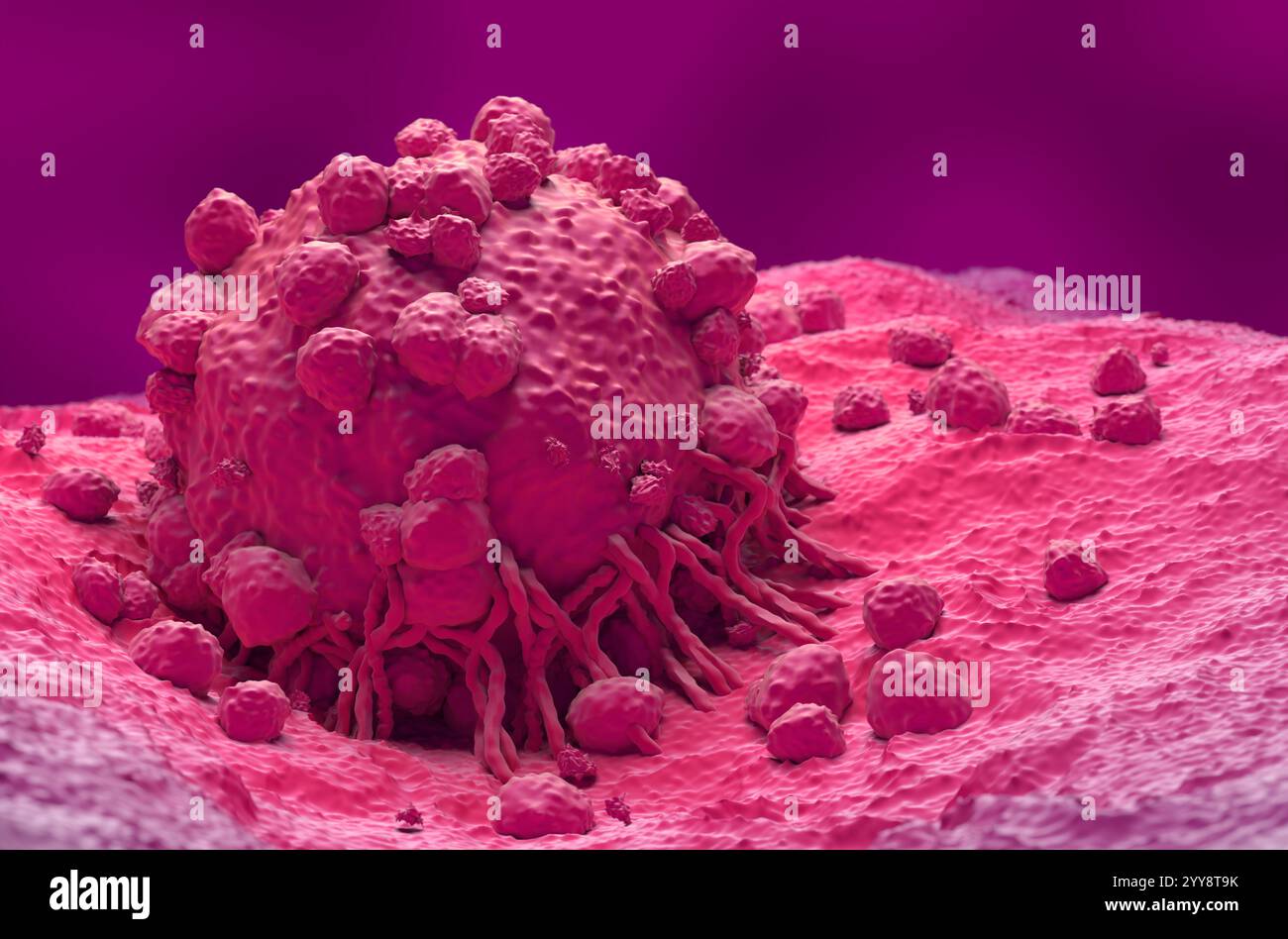 Monoclonal antibody melanoma hi-res stock photography and images - Alamy