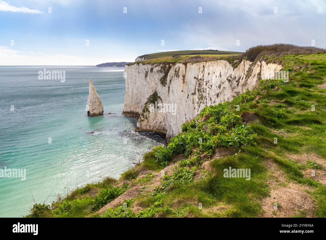 View at sunrise of the Old Harry Rocks, chalky formations near Handfast Point, on the Isle of Purbeck in Dorset, Jurassic Coast, southern England. Stock Photo