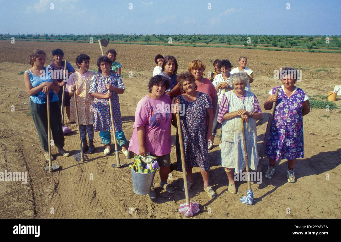 Hungary, female farmers have finished weeding the agricultural land. Stock Photo