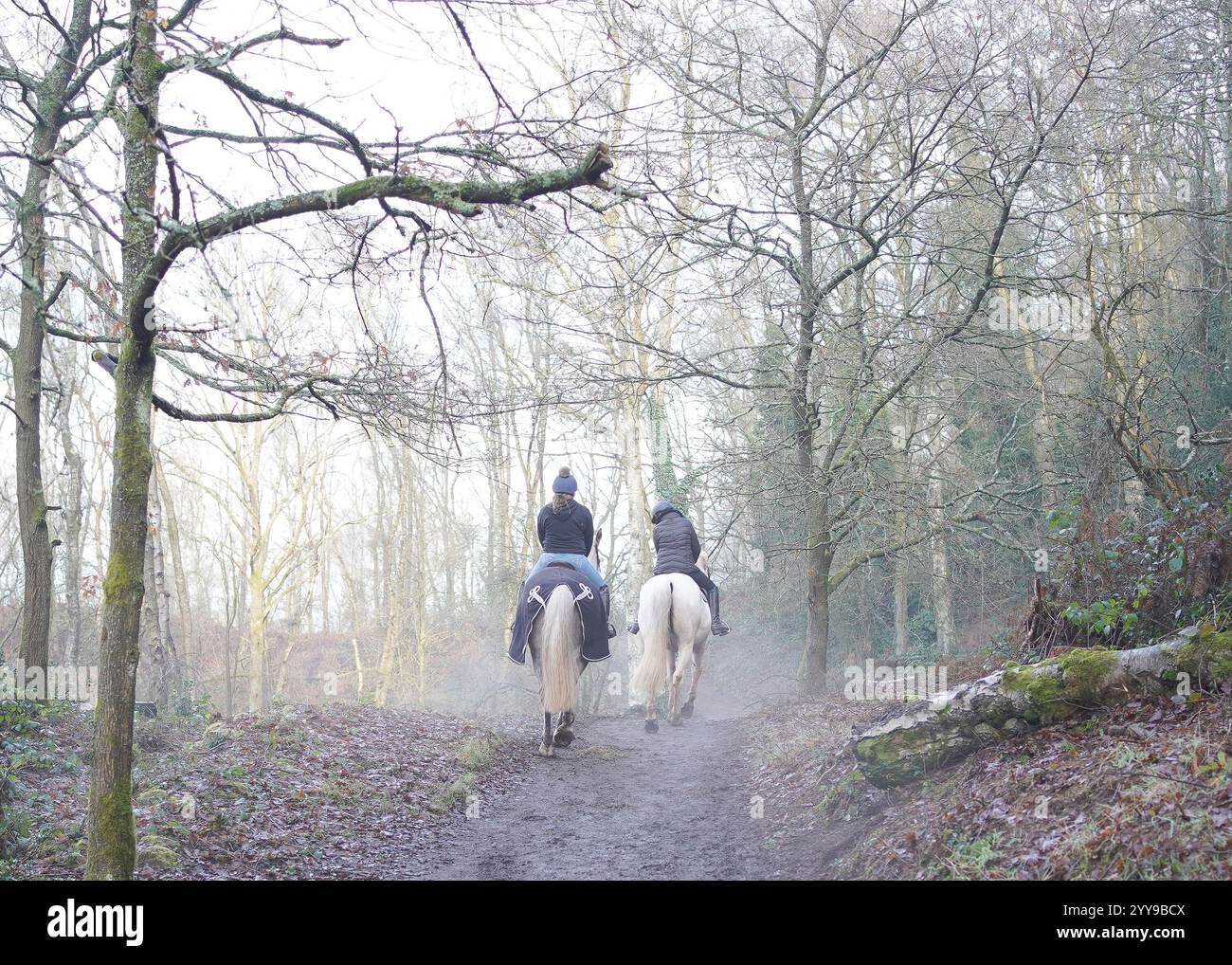 Pair of horse riders on horseback hi-res stock photography and images ...