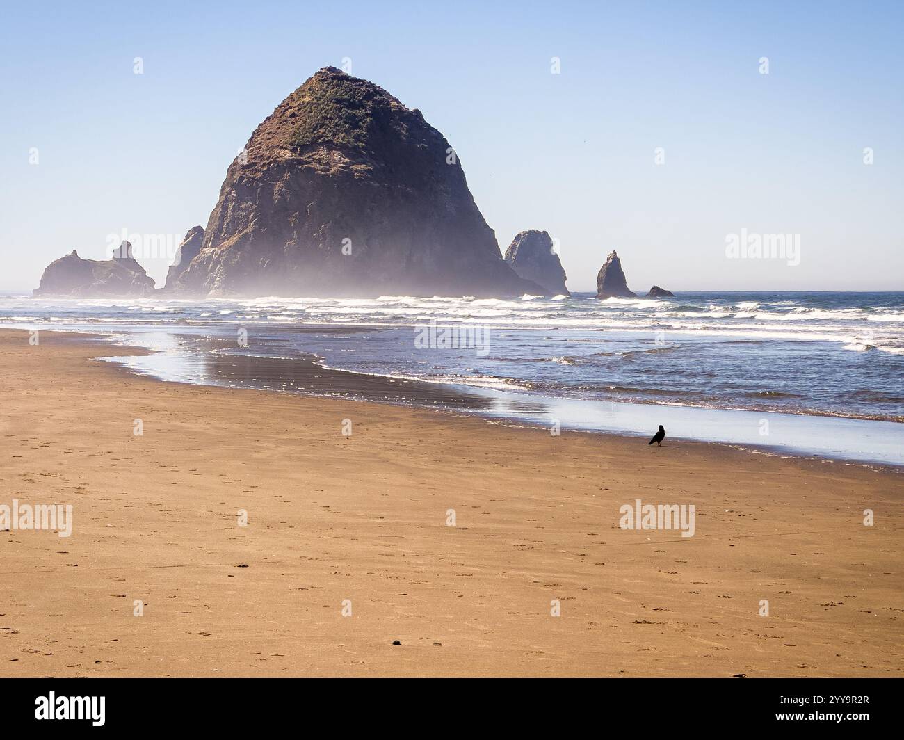 Oregon beach destination hi-res stock photography and images - Alamy