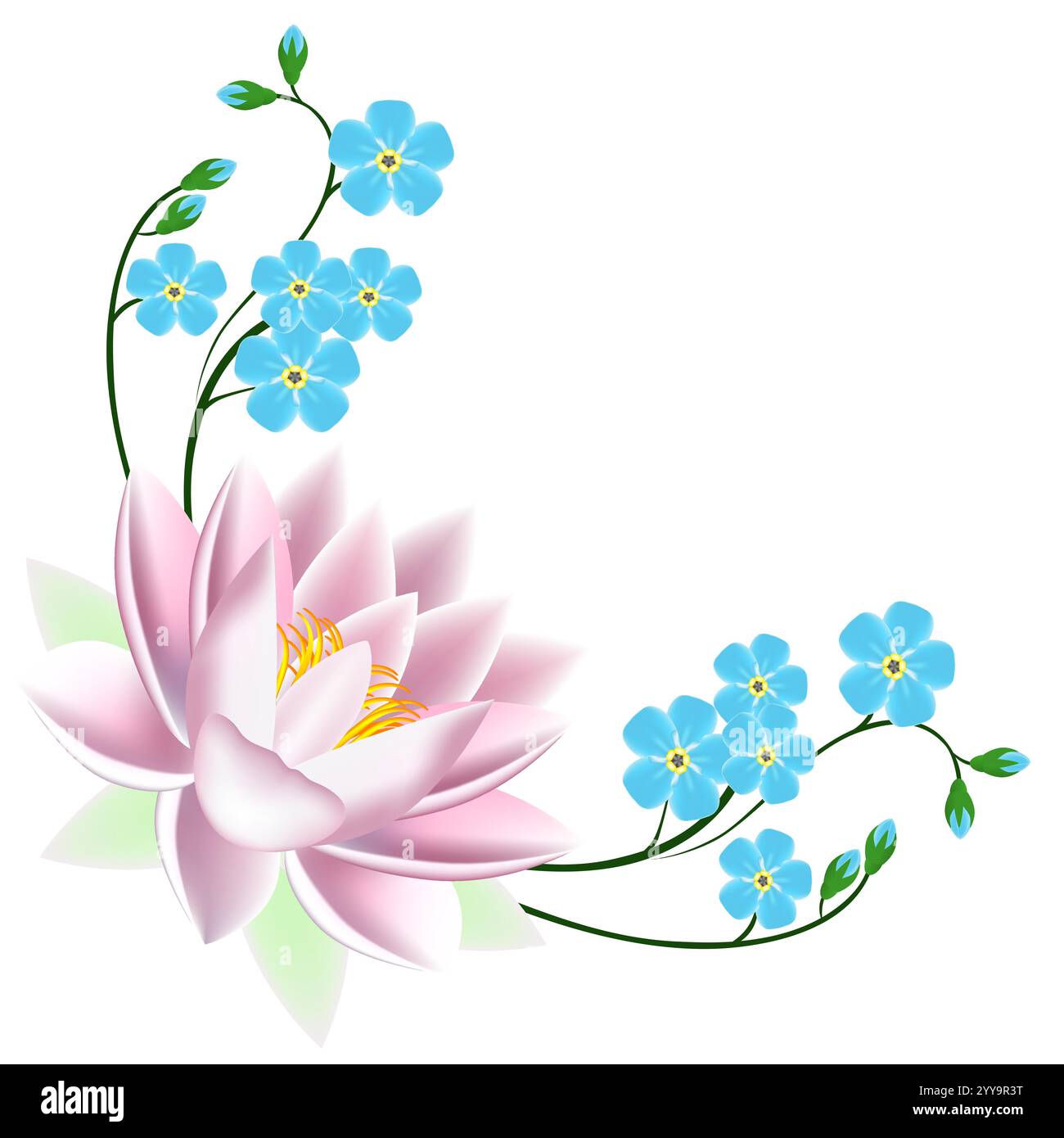 Corner with blue forget me not flowers and lotus Stock Vector Image ...