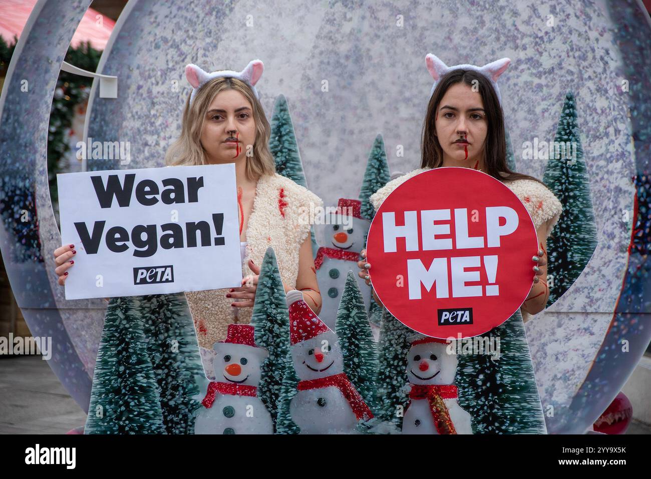 Two Activists Dressed As Sheep While Holding Placards Stand In A Snow two-activists-dressed-as-sheep-while-holding-placards-stand-in-a-snow